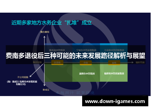费南多退役后三种可能的未来发展路径解析与展望