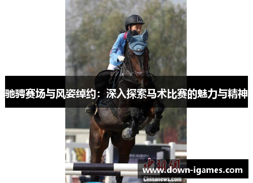 驰骋赛场与风姿绰约：深入探索马术比赛的魅力与精神